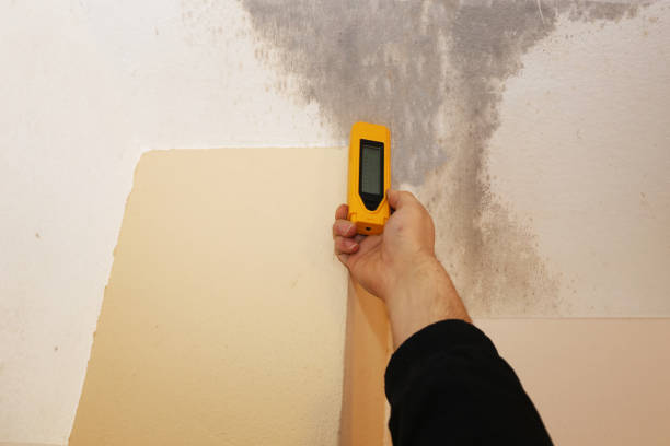 Best Asbestos and Lead Testing During Mold Inspection  in Nescopeck, PA
