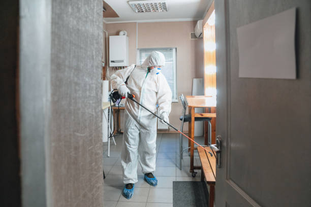 Best HVAC Mold Inspection and Cleaning  in Nescopeck, PA