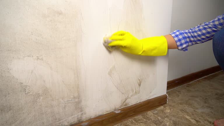 Best Comprehensive Air Testing for Mold Contaminants  in Nescopeck, PA