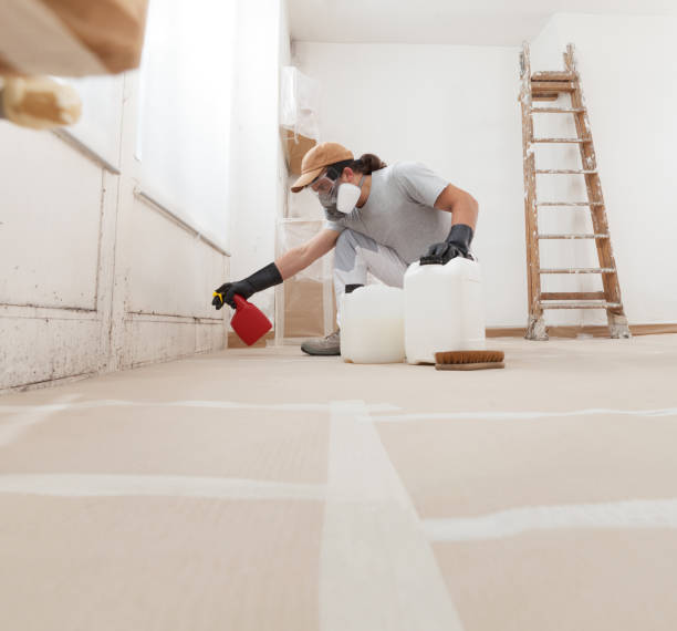 Best Air Quality Testing for Mold Spores  in Nescopeck, PA